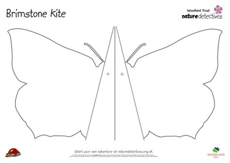 Make A Butterfly Kite Teaching Resources