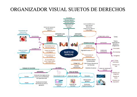 Organizador Visual EL Concebido Persona Natural SUJETO DE DERECHO