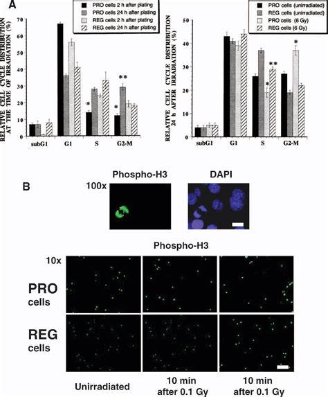 Figure 1 From International Journal Of Radiation Biology Low Dose Hyper