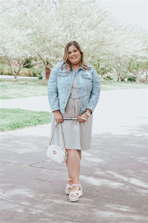 Apex Window Werks: Chicago Window Repair Company | Plus size