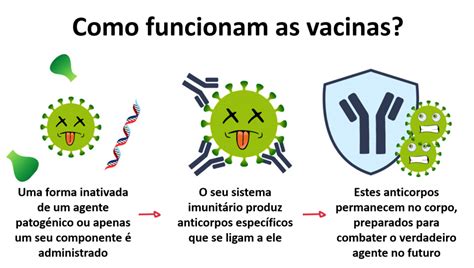 Vacinas Na Ribalta Science In School