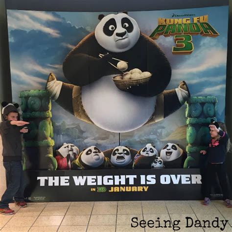 Kung Fu Panda 3 in 3D: Family History - Seeing Dandy Blog