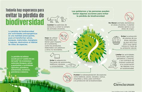 Principales Causas De La Extinci N De Especies P Rdida De Biodiversidad