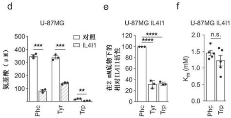 作为生物标志物的白介素 4诱导基因1（il4i1）及其用途 Cn114126634a 专利顾如