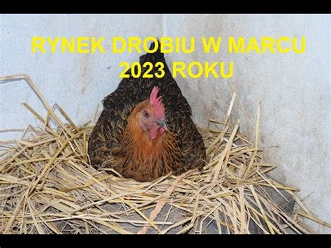 Odcinek 749 RYNEK DROBIU MARZEC 2023 R WZROSTY CZY SPADKI CO DALEJ Z