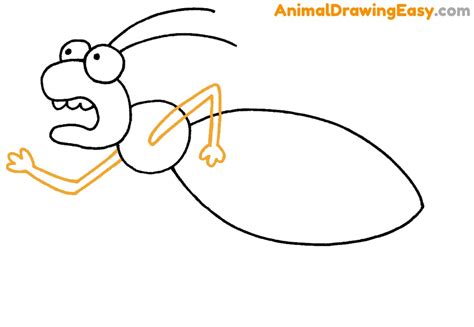 How to Draw a Bed Bug - Animaldrawingeasy.com