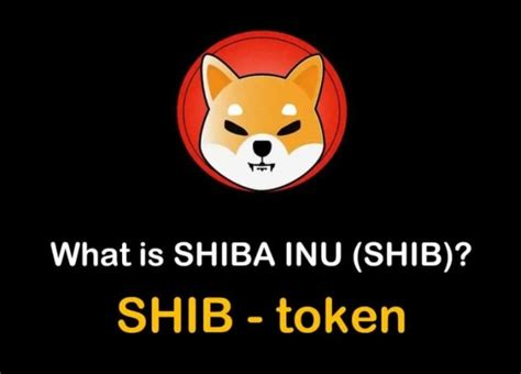 시바이누 코인 Shib 시세 호재 전망 알아보기 네이버 블로그