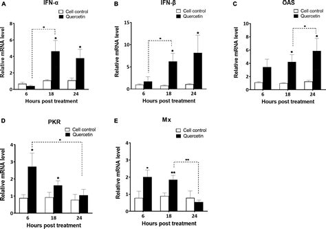 Frontiers Preventive Effects Of Quercetin Against Foot And Mouth