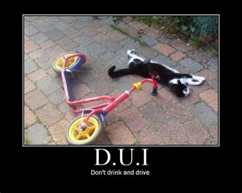 The Consequences Of A Dui On Your Insurance Rates