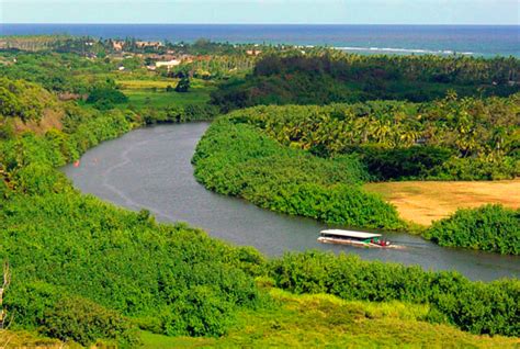 Fern Grotto Kauai - Best Kauai Tours