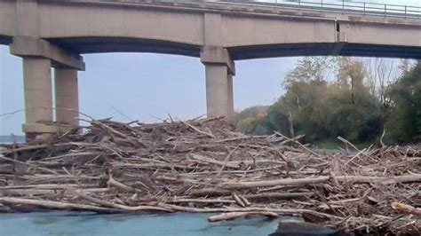 Si Ingrossa La Catasta Sui Piloni Del Ponte Navigazione A Rischio La