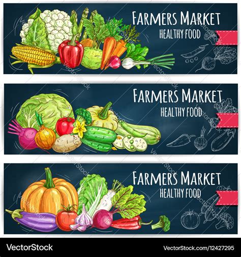 Farmers market banners with sketched vegetables Vector Image