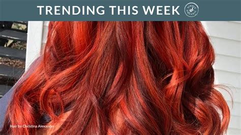 Trending Hair Colors This Week – Vol. 72 - Simply Organics