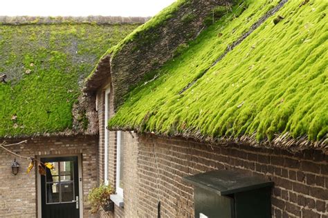 Arquitetura Bioclim Tica T Cnicas Que Podem Melhorar O Conforto