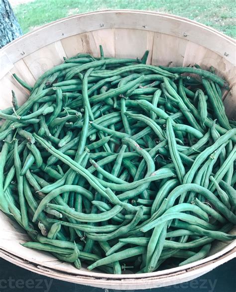 Farmers Market Baskets 12058131 Stock Photo at Vecteezy