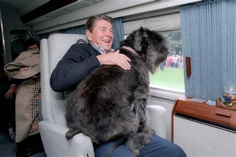 Ronald Reagan's Dog Lucky | Presidential Pet Museum