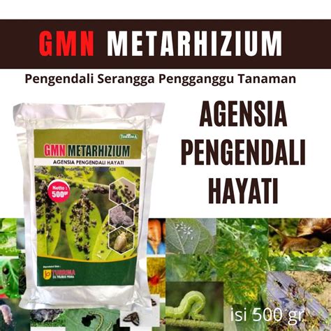 Jual Pengendali Hama Hayati Pupuk Organik Buah Metarhizium Pestisida