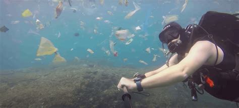 L Assaut Des Continents De Plastique Lelivrescolaire Fr