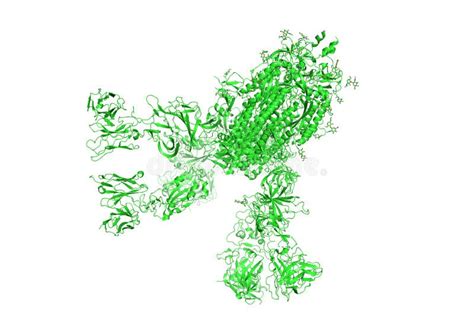 Spike Glycoprotein Stock Illustrations – 282 Spike Glycoprotein Stock ...