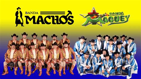 Quebradita Tour! Banda Machos, Banda Maguey & El Mexicano [video ...