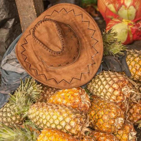 The Antigua Black Pineapple - Minneopa Orchards