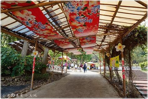 『雲林。古坑』四月桐花飄雪。白色花瓣隨風飛舞飄落，盛開中（季節限定 小凉的美食小天地