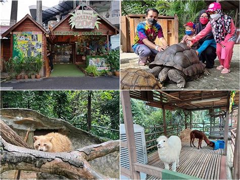 Kl Tower Mini Zoo Haiwan Mesra Di Mini Zoo Kuala Lumpur