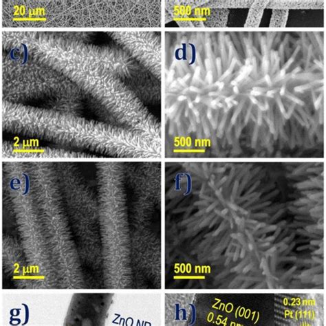 Sem Images Of Zno Nfs A And B Hierarchical Zno Nrs C And D