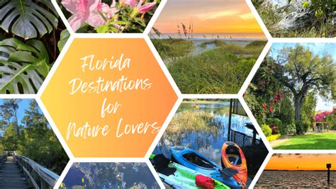 The 15 Best Places to Visit in Florida for Nature Lovers in 2023 - The ...