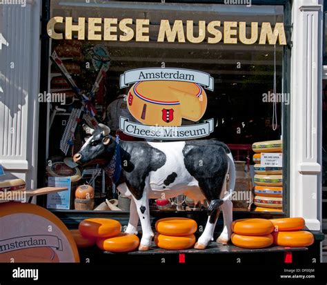 Amsterdam Cheese Museum Dutch Cow Netherlands Stock Photo - Alamy