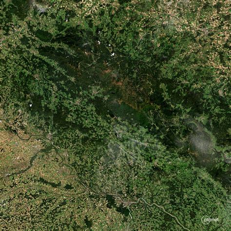 Wälder Satellitenbilder Zeigen Wie Bedroht Bäume Weltweit Sind Sternde