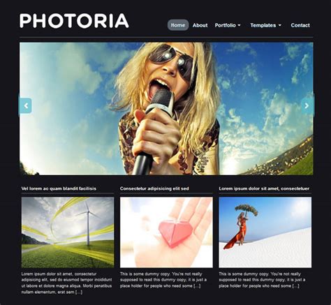 21 Free Photo Gallery And Portfolio WordPress Themes | DeMilked