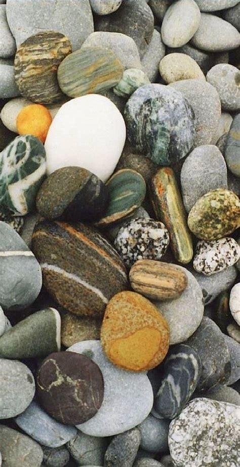 Stones On Greymouth Beach New Zealand Greymouth Blue Island New