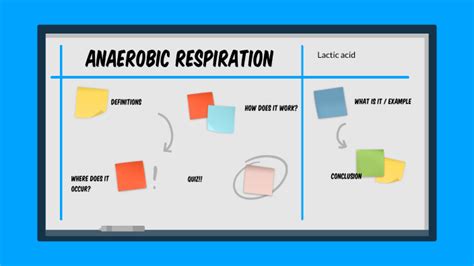 Anaerobic Respiration and Lactic Acid by Aisha W on Prezi