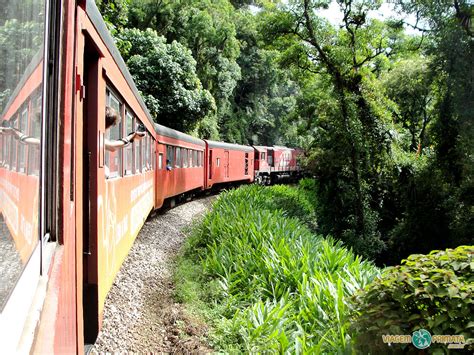 Passeio De Trem De Curitiba Pra Morretes Pela Serra Do Mar Viaja Bi