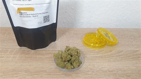 Med C Sorten Review Cannamedical Hybrid Forte Chocolate