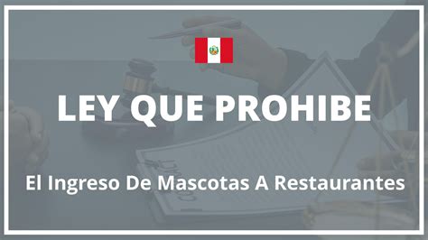 Ley Que Prohibe El Ingreso De Mascotas A Restaurantes Peru