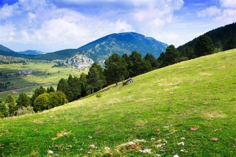 Vista De Verano De La Pradera De Las Tierras Altas Foto Gratis