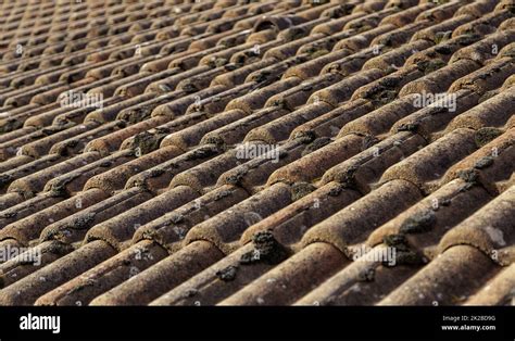 Ceramic Roof Tiles Stock Photo Alamy