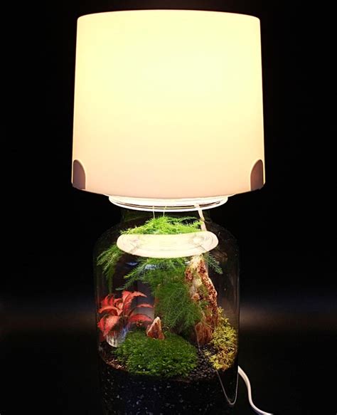 Lampe Terrarium Une Bidouille Tr S Simple Pour Votre Jardin Miniature