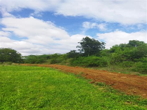 Agricultural Land Acre For Sale In Mulbagal Kolar Rei