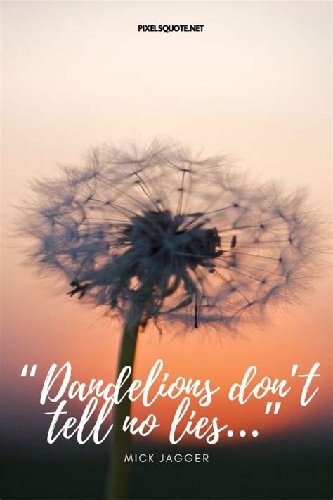 Dandelion Quotes With Beautiful Images Pixelsquotenet