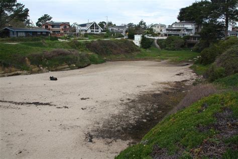 Sunny Cove in Santa Cruz, CA - California Beaches