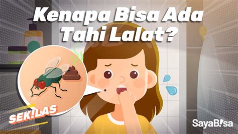 Kenapa Bisa Ada Tahi Lalat Sekilas Youtube