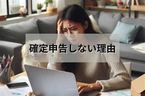 副業で確定申告しない人が多いけど結局どうなるの？バレる理由と罰則 ソロ活自由人blog