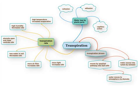 Mind Map — Lesson Science Cbse Class 10