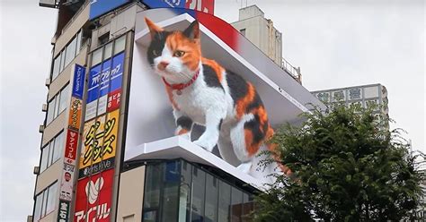 An Enormous 3D Calico Cat Greets Passersby at Tokyo’s Shinjuku Station ...