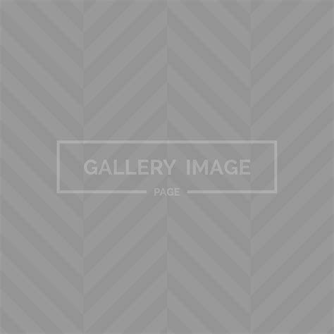 Gallery in a Page – VINCENT SHOES LACE