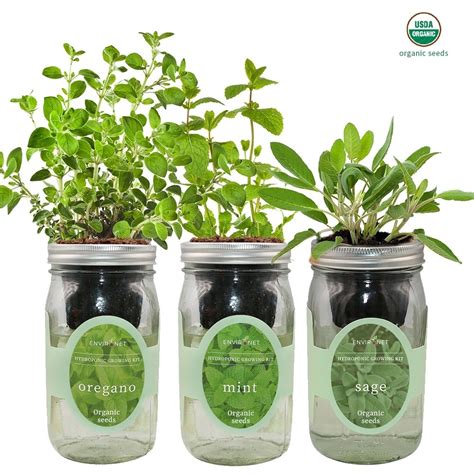 Herb Garden Trio - Mason Jar Hydroponic Kit Set with Organic Seeds ...