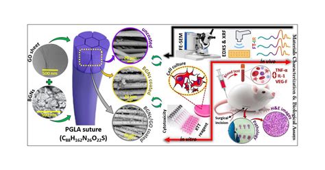 Novel Bioactive Glass Graphene Oxide Coated Surgical Sutures For Soft Tissue Regeneration Acs